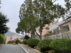-厦门国家会计学院