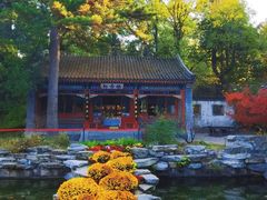 -香山公园