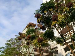 -佛山市第一中学