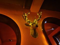 -無名记忆Music Bar夜景怀旧酒吧