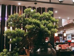 大堂-古田居·特色寿司料理(星之岛旗舰店)