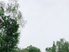 -眉山湿地公园(东坡区)