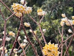 -徐家汇源景区-衡山公园