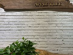 -苹果树下艺术餐厅(宋庄店)