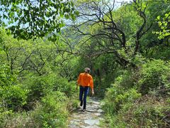 -阳台山自然风景区