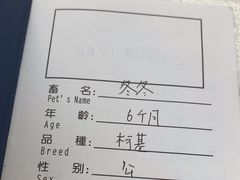 -申普宠物医院(总院)