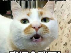 -深水井老冰粉(解放碑英利大融城店)
