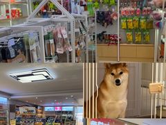 -翊宠yipet猫狗购宠庄园犬舍•猫舍