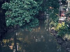 -小洲村