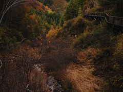 -苏木山森林公园