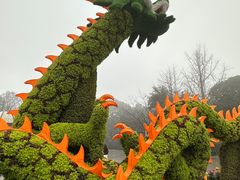 -南山植物园