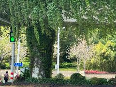 -时光花园(白鹭洲店)