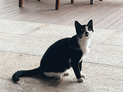 -漓咖啡西餐厅 · 桂林香格里拉