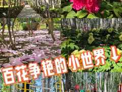 -仁和公园(顺义区)
