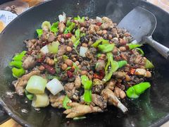 -吃奇喝哈童子鸡