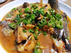 红烧有机鱼尾-全乐鱼馆·淳牌有机鱼直营店