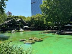 -静安公园(静安寺街道)