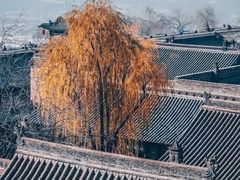 -山西王家大院