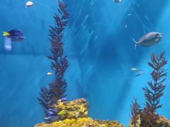 -聊城海底世界