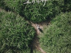 -金海湾滨江公园