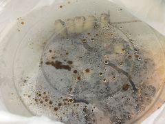 -古里芳芳烧烤(常熟店)