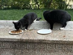 -狼山风景名胜区