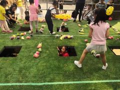 -松山湖南湖湾露营营地