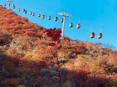-周口店坡峰岭风景区