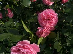 -长春公园(普阳街道)