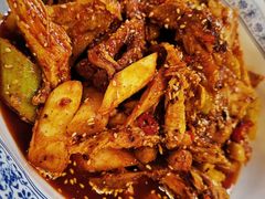 -龙翔山庄雷鸡肉(青城后山泰安古镇店)