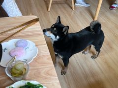 -柴の食堂·日式家庭料理·熊之肆(大学路店)