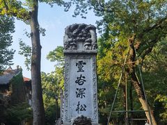 -灵谷景区