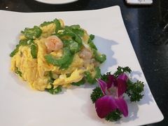 -云中小雅