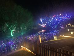 -同里湖度假村(二期店)