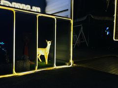 -枫花园汽车电影院(朝阳公园店)