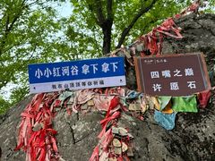 -陕西省红河谷森林公园
