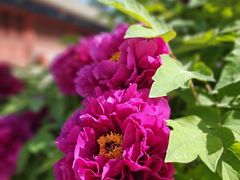 -大钟寺古钟博物馆