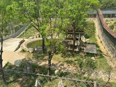 -石家庄市动物园