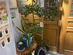 -田记宫廷奶酪