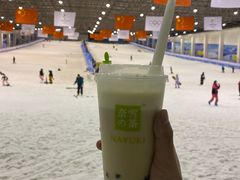 -绍兴启迪乔波冰雪世界