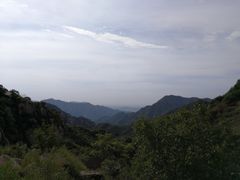 -大岭沟猕猴桃谷风景区