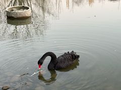 -浙江农林大学(东湖校区)