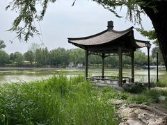 -三忘湖 SWANSEEN(柳荫公园店)