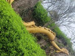-宜兴龙背山森林公园