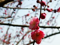-苏州环秀晓筑养生度假村