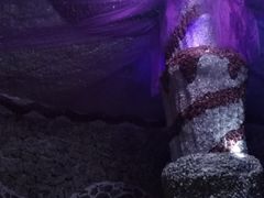 -水晶之星洗浴温泉汗蒸