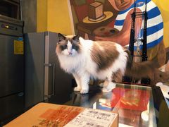 -咖法森林·咖啡  酒吧(天河店)