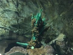 -苏州海洋馆