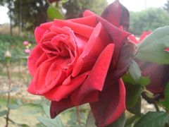 -人民公园(罗湖区)