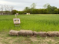 -嘉北郊野公园